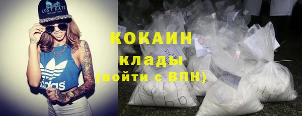 мяу мяу мука Дмитриев