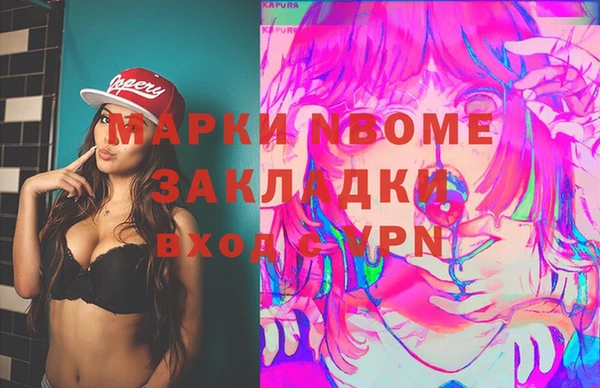 индика Дмитров