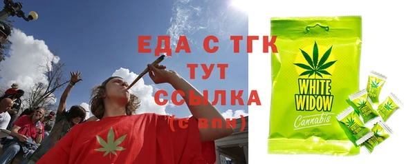 индика Дмитров