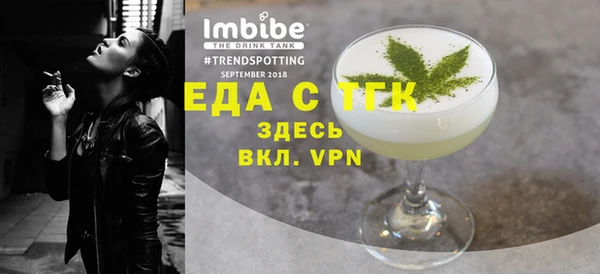 индика Дмитров