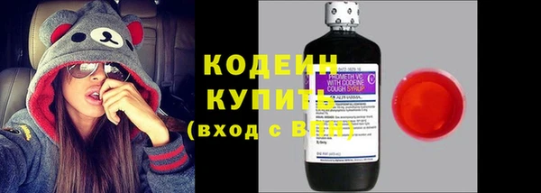 индика Дмитров