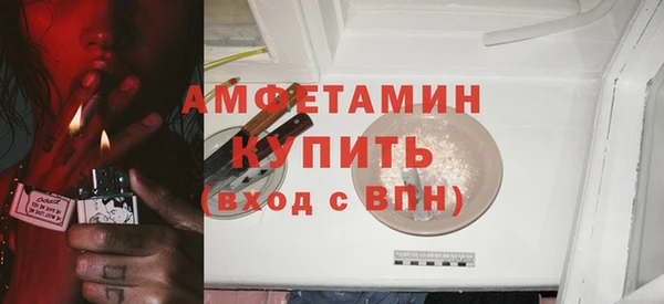 индика Дмитров