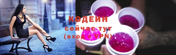 мяу мяу мука Дмитриев