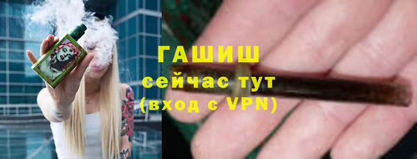 индика Дмитров