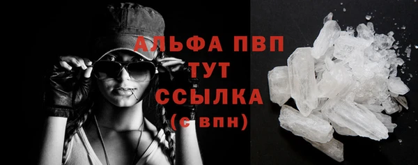 индика Дмитров