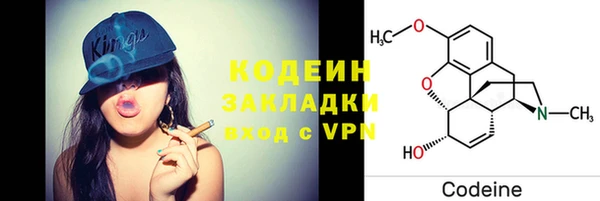 индика Дмитров