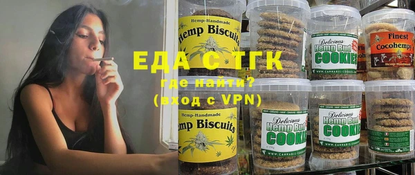 индика Дмитров