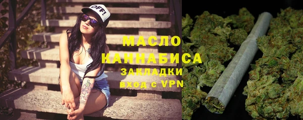 индика Дмитров