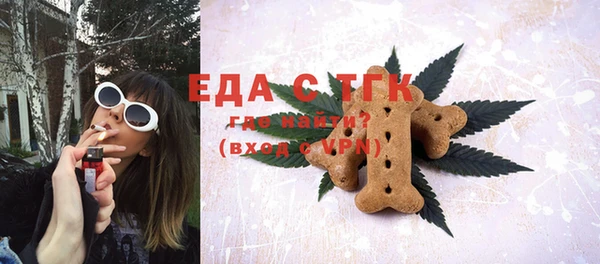 индика Дмитров
