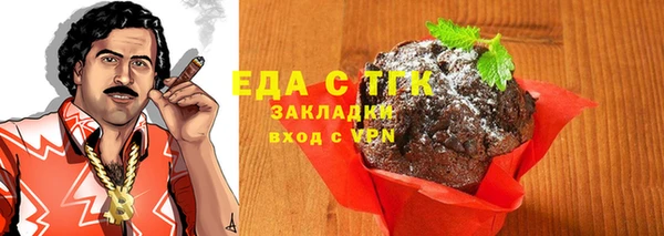 спиды Горняк