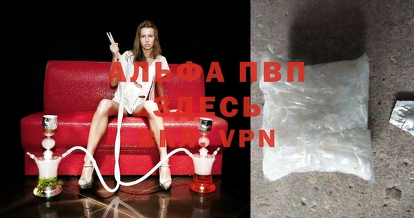 индика Дмитров