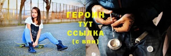 индика Дмитров